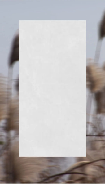 尊龙凯时人生就是搏葭灰质感砖图